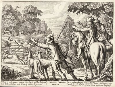 Coursing Fallow Deer by Wenceslaus Hollar
